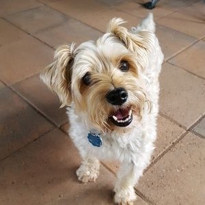 Meet your Posher, Tammy